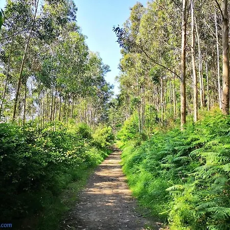 Ibinaga Seaview - Auto Checking Apartment
